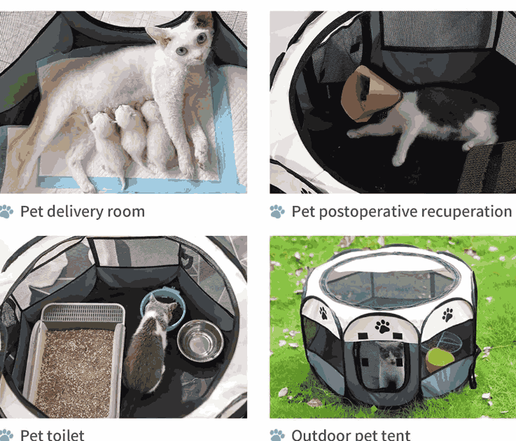 Casa Corral Para Mascotas Perros Sencillas Plegable gaddi